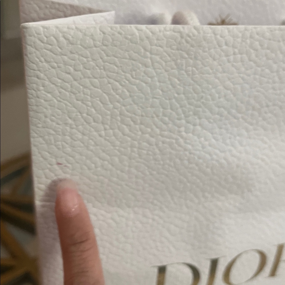 Dior Gift Bag - Picture 7 of 12